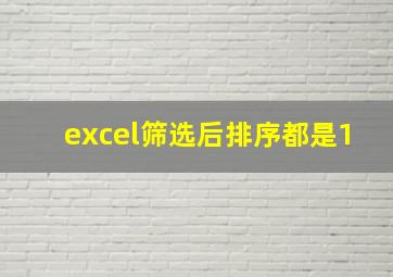 excel筛选后排序都是1