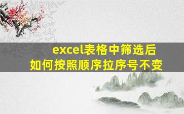 excel表格中筛选后如何按照顺序拉序号不变