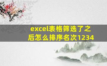 excel表格筛选了之后怎么排序名次1234