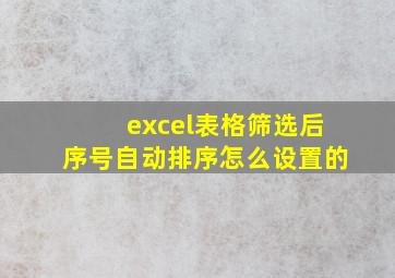 excel表格筛选后序号自动排序怎么设置的