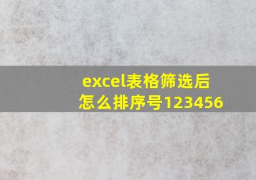 excel表格筛选后怎么排序号123456