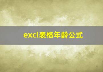 excl表格年龄公式