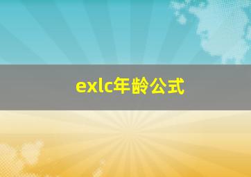 exlc年龄公式