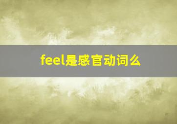 feel是感官动词么