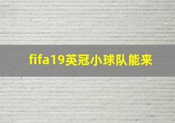 fifa19英冠小球队能来