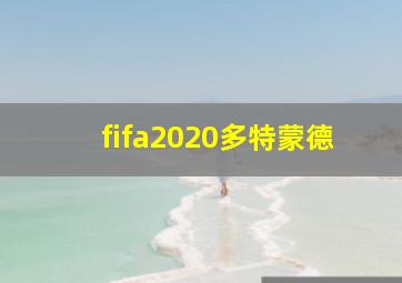 fifa2020多特蒙德