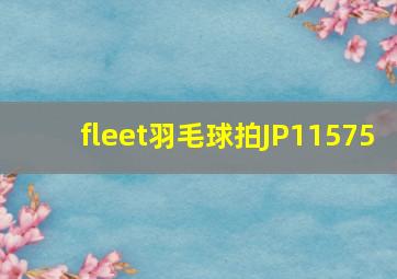 fleet羽毛球拍JP11575