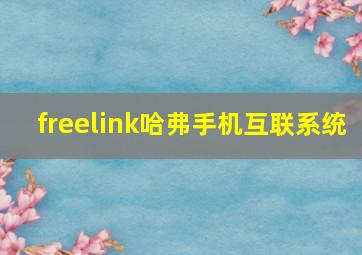 freelink哈弗手机互联系统