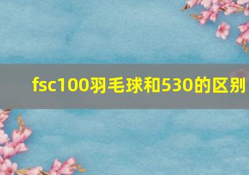 fsc100羽毛球和530的区别