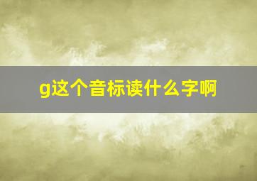 g这个音标读什么字啊