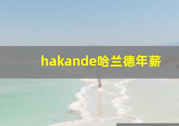 hakande哈兰德年薪