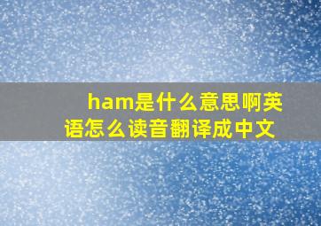 ham是什么意思啊英语怎么读音翻译成中文