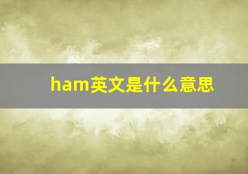 ham英文是什么意思