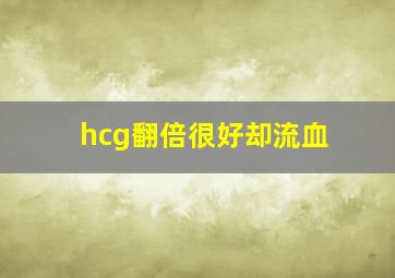 hcg翻倍很好却流血