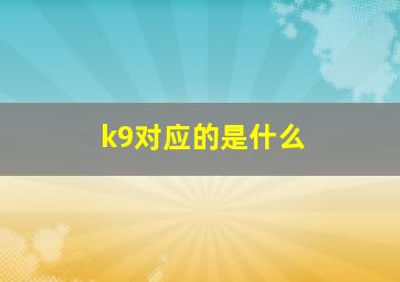 k9对应的是什么