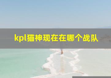 kpl猫神现在在哪个战队