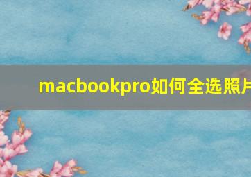 macbookpro如何全选照片