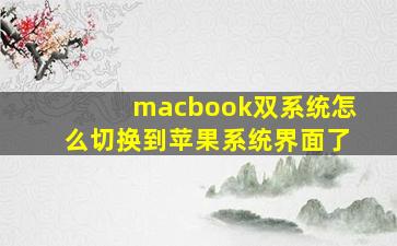 macbook双系统怎么切换到苹果系统界面了