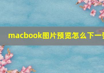 macbook图片预览怎么下一张