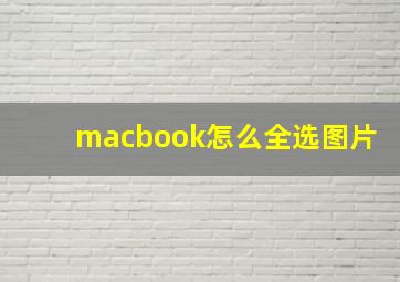 macbook怎么全选图片