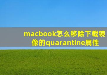 macbook怎么移除下载镜像的quarantine属性