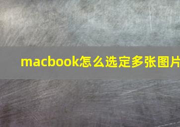 macbook怎么选定多张图片