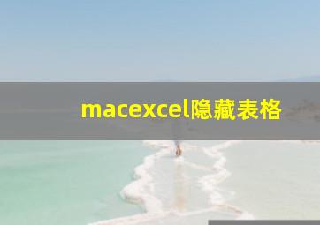 macexcel隐藏表格