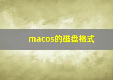 macos的磁盘格式