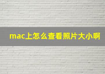 mac上怎么查看照片大小啊