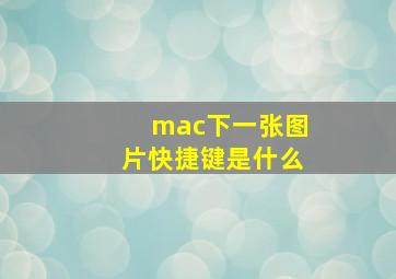 mac下一张图片快捷键是什么