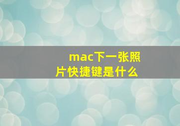 mac下一张照片快捷键是什么