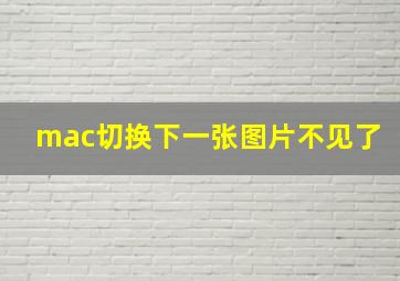 mac切换下一张图片不见了