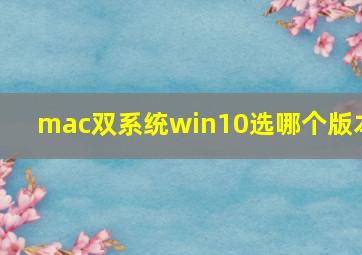 mac双系统win10选哪个版本