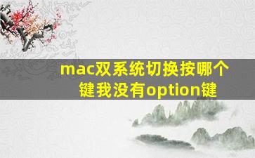 mac双系统切换按哪个键我没有option键