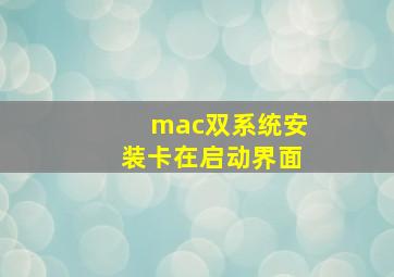 mac双系统安装卡在启动界面