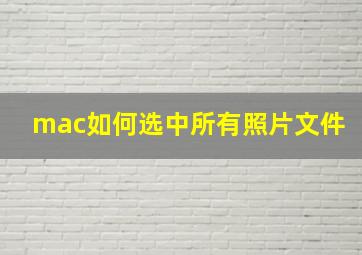 mac如何选中所有照片文件