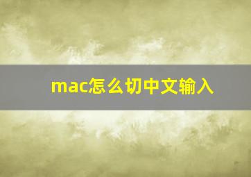 mac怎么切中文输入