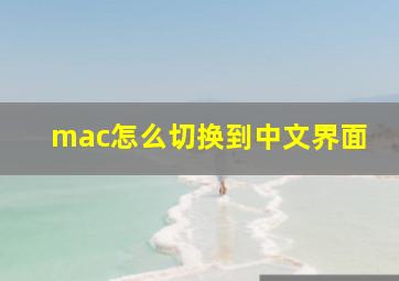 mac怎么切换到中文界面