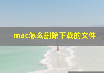 mac怎么删除下载的文件