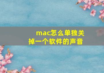 mac怎么单独关掉一个软件的声音