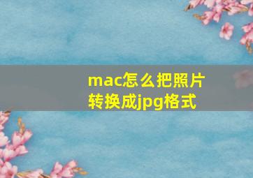 mac怎么把照片转换成jpg格式