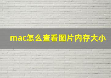 mac怎么查看图片内存大小