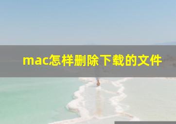 mac怎样删除下载的文件