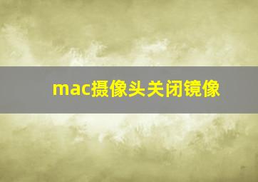 mac摄像头关闭镜像