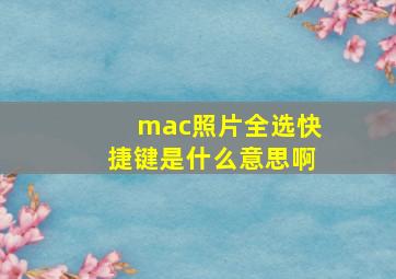 mac照片全选快捷键是什么意思啊