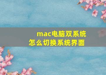 mac电脑双系统怎么切换系统界面