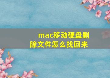 mac移动硬盘删除文件怎么找回来