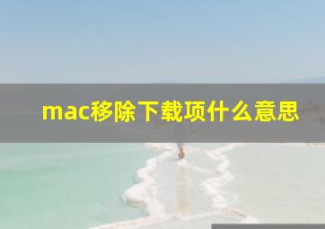 mac移除下载项什么意思