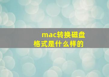 mac转换磁盘格式是什么样的