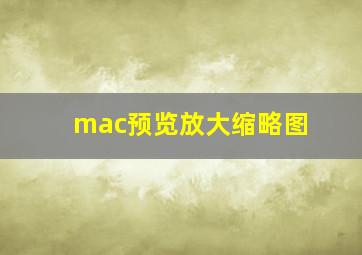 mac预览放大缩略图